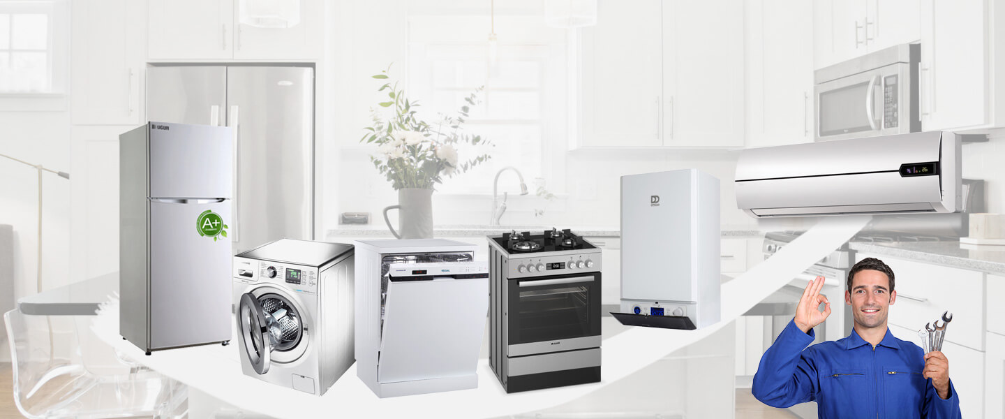 Vize Daikin Servisi